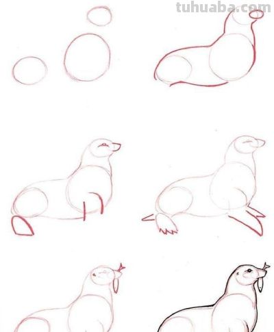 20种动物的简笔画教程，有手就能画 - 图画吧TUHUABA