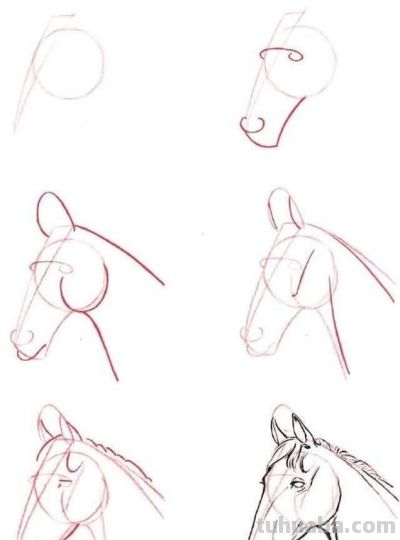 20种动物的简笔画教程，有手就能画 - 图画吧TUHUABA