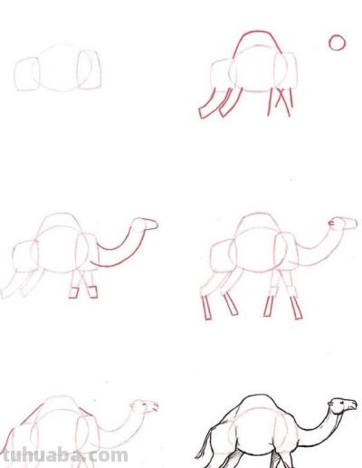 20种动物的简笔画教程，有手就能画 - 图画吧TUHUABA