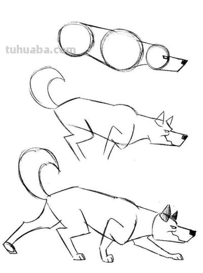 20种动物的简笔画教程，有手就能画 - 图画吧TUHUABA