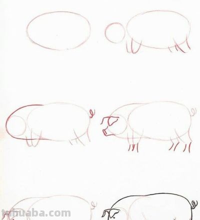 20种动物的简笔画教程，有手就能画 - 图画吧TUHUABA