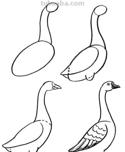 20种动物的简笔画教程，有手就能画 - 图画吧TUHUABA