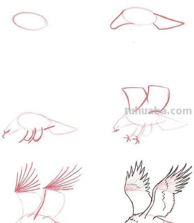 20种动物的简笔画教程，有手就能画 - 图画吧TUHUABA