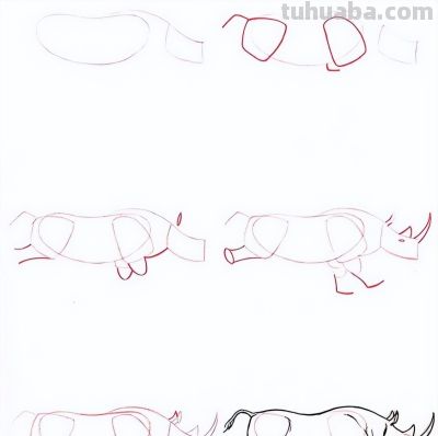 20种动物的简笔画教程，有手就能画 - 图画吧TUHUABA