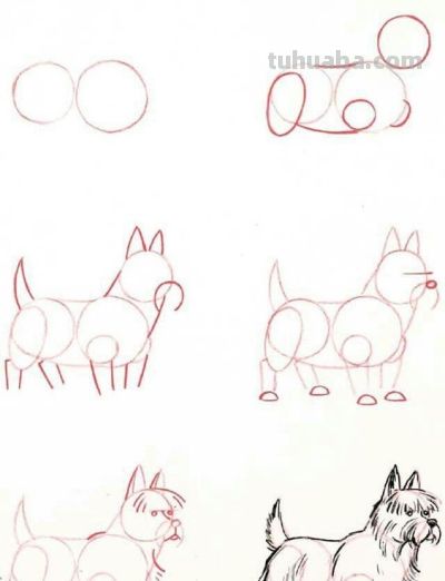 20种动物的简笔画教程，有手就能画 - 图画吧TUHUABA