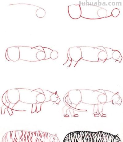 20种动物的简笔画教程，有手就能画 - 图画吧TUHUABA