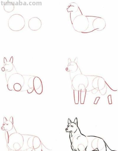 20种动物的简笔画教程，有手就能画 - 图画吧TUHUABA