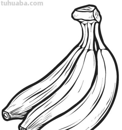 水果的简笔画线稿资料，临摹学画 - 图画吧TUHUABA