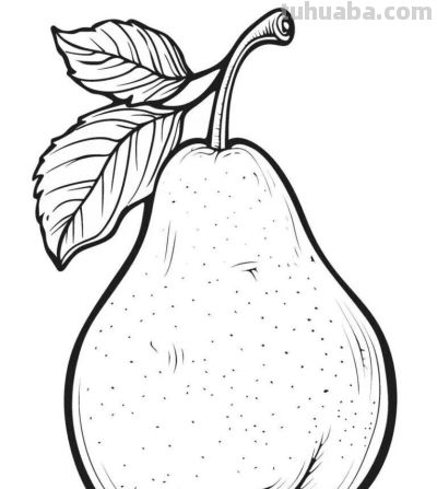 水果的简笔画线稿资料，临摹学画 - 图画吧TUHUABA