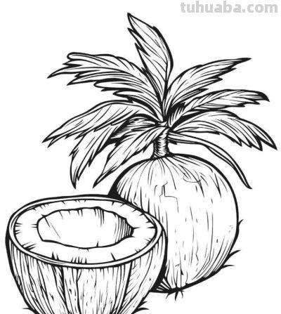 水果的简笔画线稿资料，临摹学画 - 图画吧TUHUABA