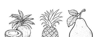 水果的简笔画线稿资料，临摹学画 - 图画吧TUHUABA