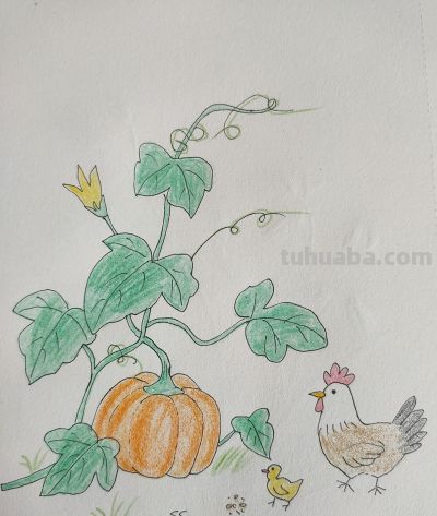 手绘田园蔬果，把人间烟火揉进画纸里 - 图画吧TUHUABA