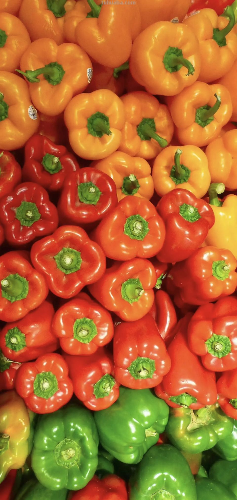 Wallpaper | 蔬菜壁纸 - 图画吧TUHUABA