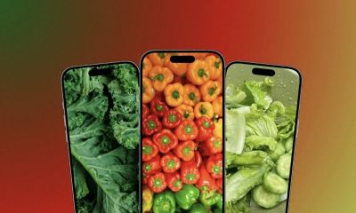 Wallpaper | 蔬菜壁纸 - 图画吧TUHUABA