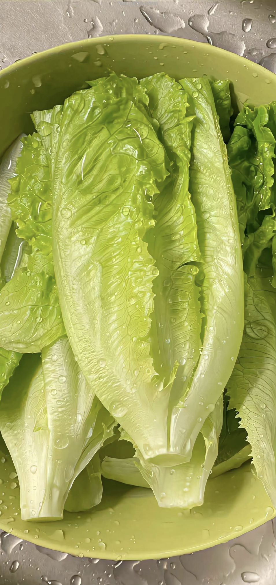 Wallpaper | 蔬菜壁纸 - 图画吧TUHUABA