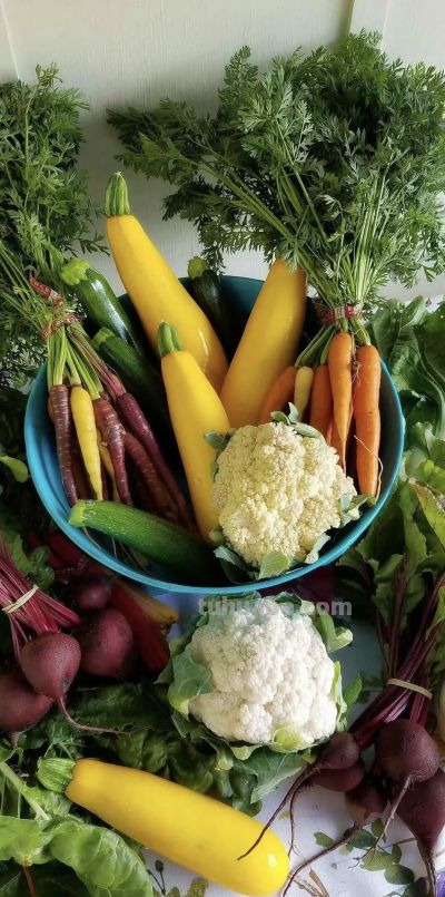 Wallpaper | 蔬菜壁纸 - 图画吧TUHUABA