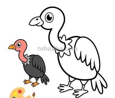 9幅动物简笔画教程，带孩子临摹 - 图画吧TUHUABA