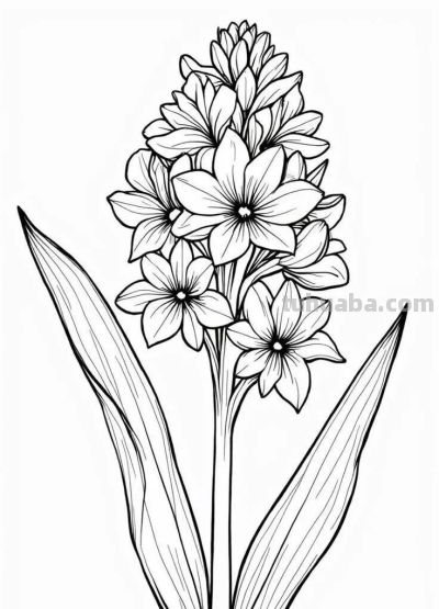 花卉的简笔画线稿，够你画一个月了 - 图画吧TUHUABA