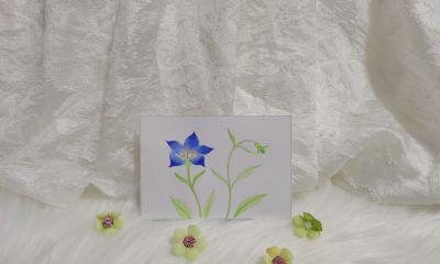 06 桔梗（绘画 水彩 果花甘06） - 今日头条