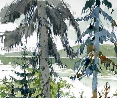 莎莉·布劳科普夫：捕捉城市脉搏的水彩诗人 - 图画吧TUHUABA