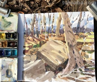 莎莉·布劳科普夫：捕捉城市脉搏的水彩诗人 - 图画吧TUHUABA