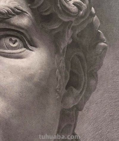 鲁迅美院学生75小时长期素描作业，全开纸大卫石膏像素描作品 - 图画吧TUHUABA