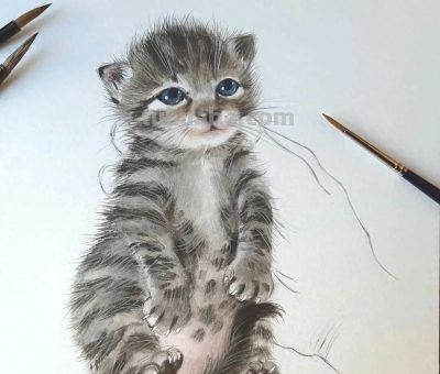 水彩绘画小动物 - 今日头条