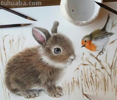 水彩绘画小动物 - 图画吧TUHUABA
