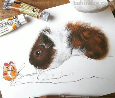 水彩绘画小动物 - 图画吧TUHUABA