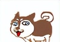 插画丨灵动又十分治愈童趣水彩，小巧可爱的动物插画，超级温馨 - 图画吧TUHUABA