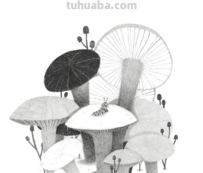 插画丨灵动又十分治愈童趣水彩，小巧可爱的动物插画，超级温馨 - 图画吧TUHUABA