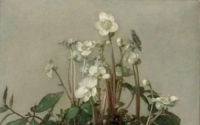 素静得真是好看呀!Jan Bogaerts的花卉静物画 - 今日头条 素静得真是好看呀!Jan Bogaerts的花卉静物画 - 图画吧TUHUABA