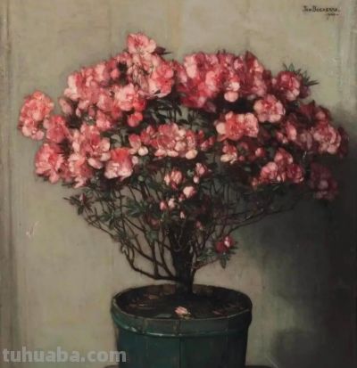 素静得真是好看呀!Jan Bogaerts的花卉静物画 - 今日头条 素静得真是好看呀!Jan Bogaerts的花卉静物画 - 图画吧TUHUABA