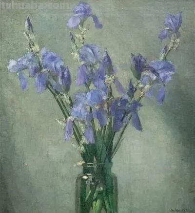 素静得真是好看呀!Jan Bogaerts的花卉静物画 - 今日头条 素静得真是好看呀!Jan Bogaerts的花卉静物画 - 图画吧TUHUABA