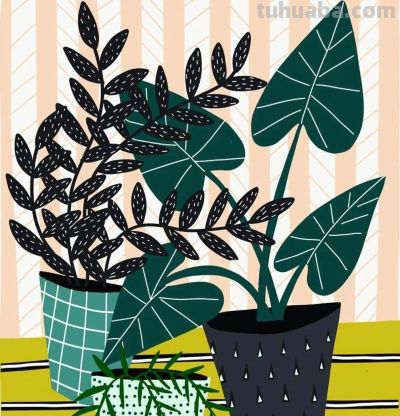 Bailey Schmidt的花卉静物以高饱和的绚丽色彩著称，笔触大胆奔放 - 图画吧TUHUABA