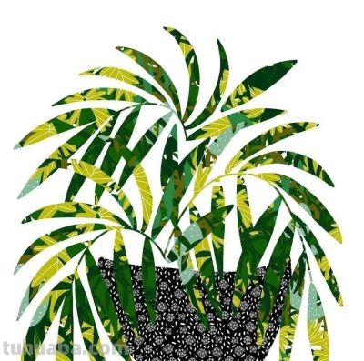 Bailey Schmidt的花卉静物以高饱和的绚丽色彩著称，笔触大胆奔放 - 图画吧TUHUABA