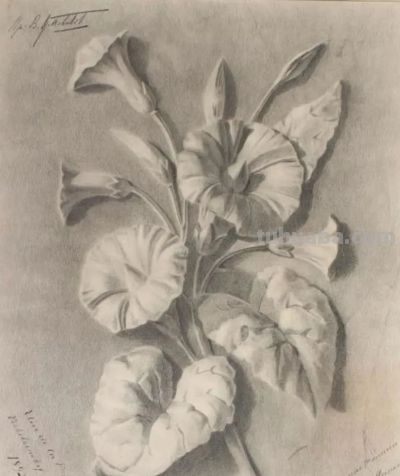 法国优秀画家素描作品 - 图画吧TUHUABA