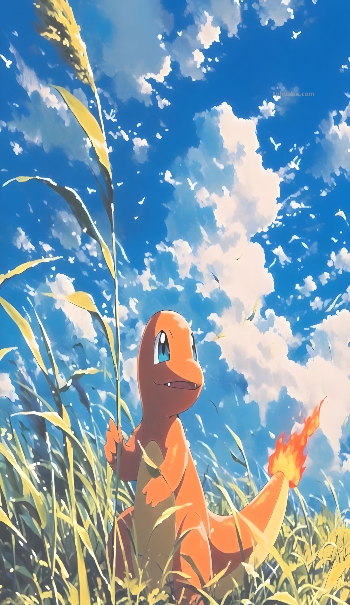 8K壁纸：二次元美图，精灵宝可梦，神奇的动漫壁纸 - 图画吧TUHUABA