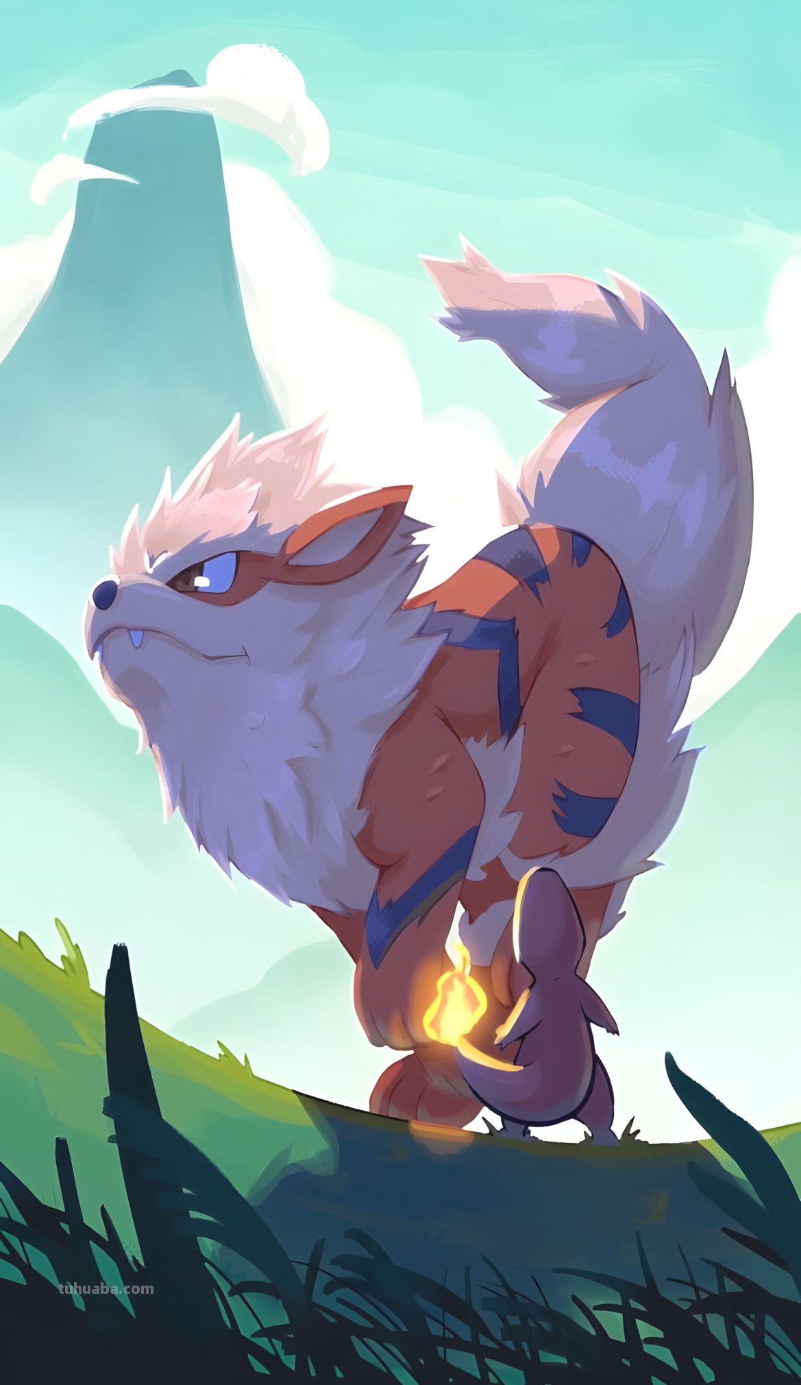 8K壁纸：二次元美图，精灵宝可梦，神奇的动漫壁纸 - 图画吧TUHUABA