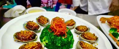 创意焕彩·提升之冬丨匠心美味聚北安——北安市“黑土好味 ‘饪’游北安”冬季美食汇暨创意厨师大赛火热开赛 - 图画吧TUHUABA