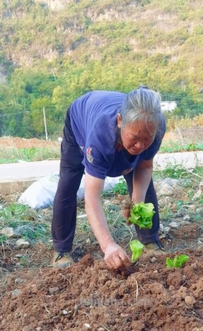 家庭种植短视频数字人美女形象文案 - 图画吧TUHUABA