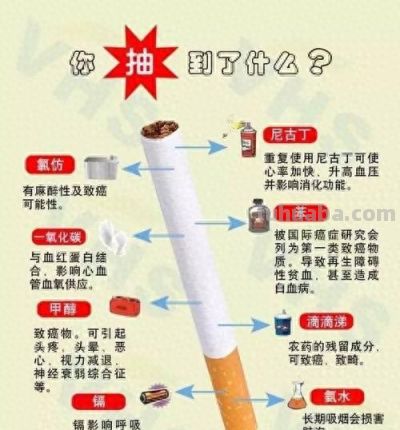 家庭种植+生活养生+育儿 跨领域爆款题材合集 - 图画吧TUHUABA