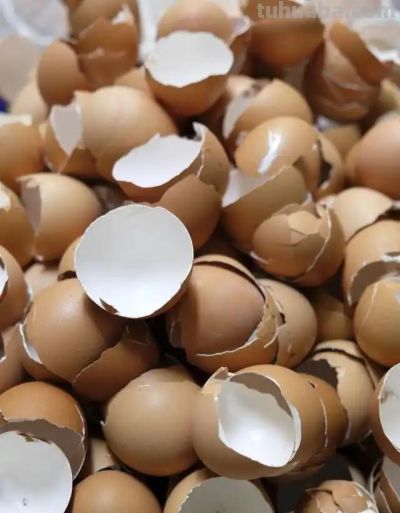 这4个“零成本”技巧，30天让绿萝爆盆、月季开花、多肉胖成球 - 图画吧TUHUABA