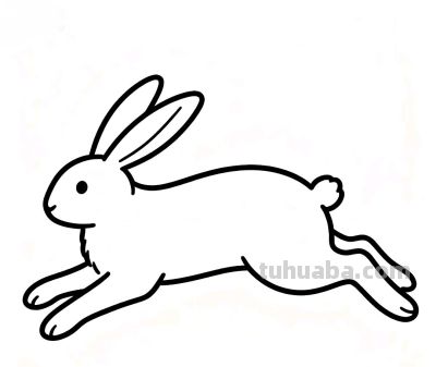 简笔画丨画一只圆滚滚的小萌兔 轻轻几笔勾勒快乐时光 画出童真趣味 - 图画吧TUHUABA