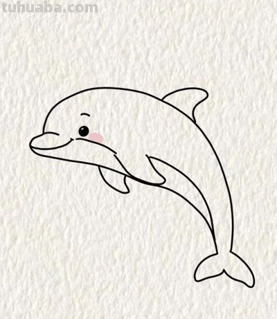 可爱小海豚简笔画 - 今日头条