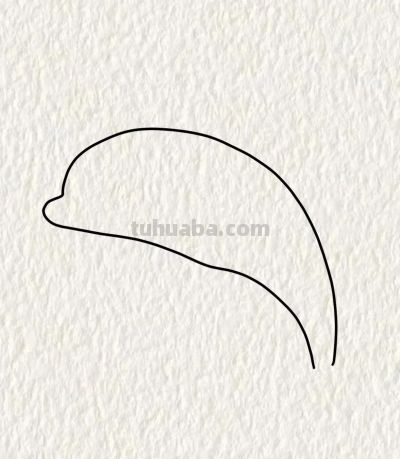 可爱小海豚简笔画 - 图画吧TUHUABA