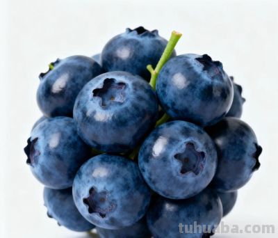 𝙒𝙚𝘾𝙝𝙖𝙩 | 水果头像 - 图画吧TUHUABA