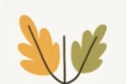 极简植物小画画起来 - 今日头条