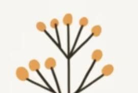 极简植物小画画起来 - 图画吧TUHUABA