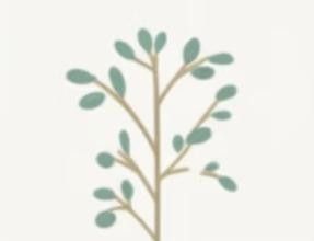 极简植物小画画起来 - 图画吧TUHUABA